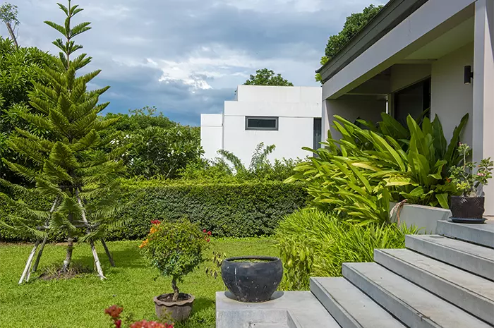 Architect Landscaping Design company