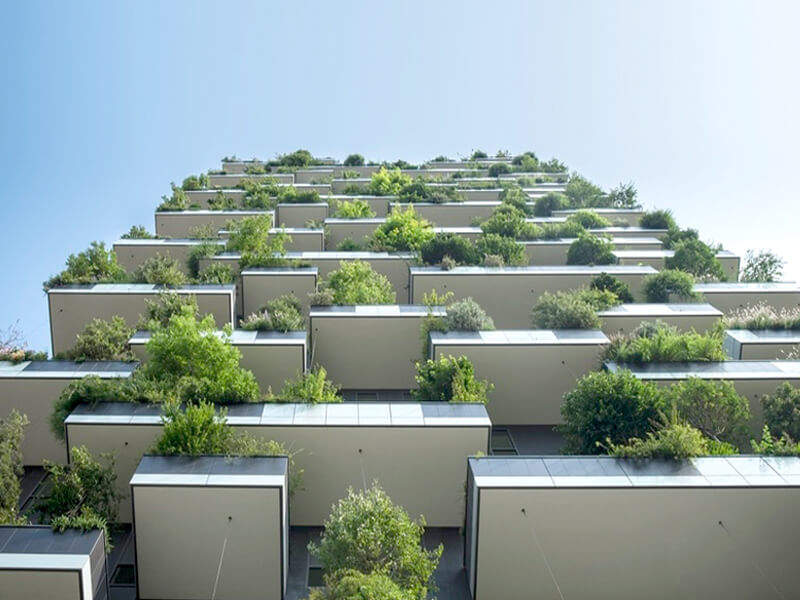 Green Trends : The Most Fashionable Trends In Housing Sector
