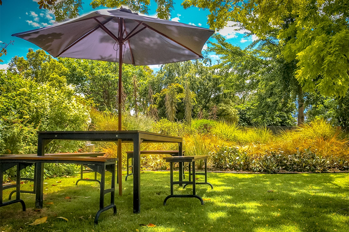 Need furniture? Grow Some! : Gavin Munro of Derbyshire