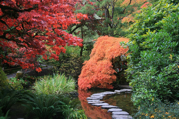 Color and its Contrast