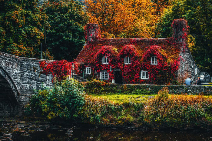 Landscape Rendering in 3D Architecture