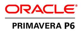 BIM Infrastructure Projects on Primavera P6