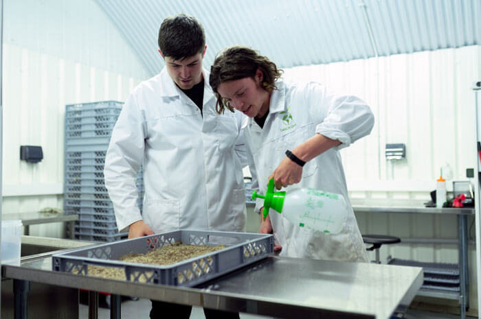 Scientist laboratory