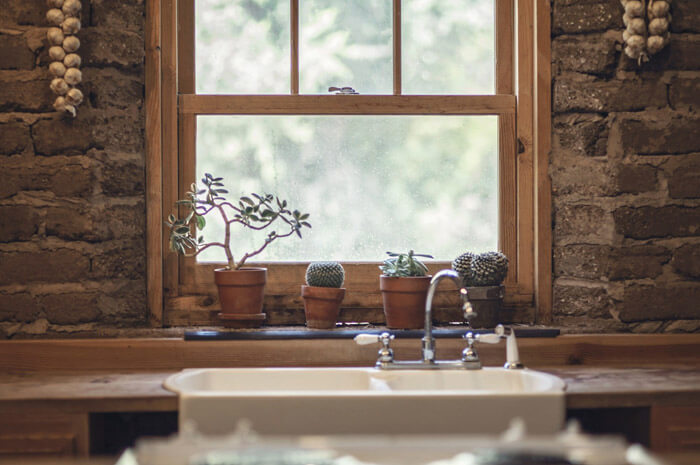 Window nature green